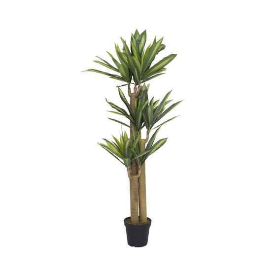 Dracaena | Kunstplant