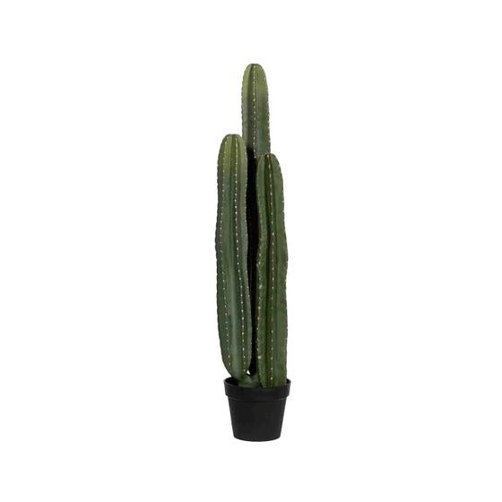 Cactus San Pedro | Kunstplant