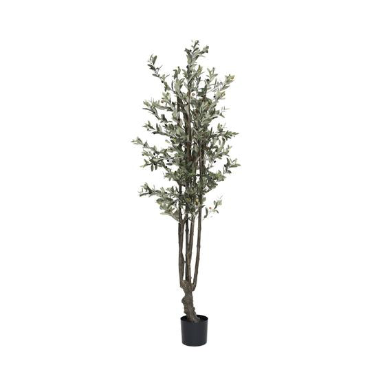 Olijfboom | Kunstplant