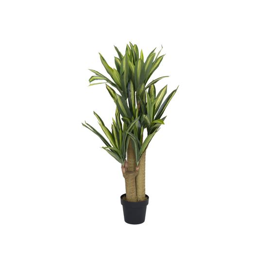 Dracaena | Kunstplant