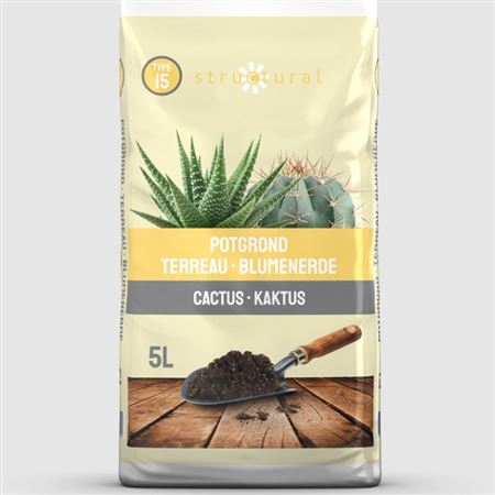 Potgrond Cactus