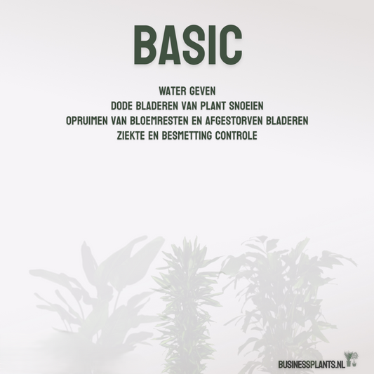 Basic | Onderhoud