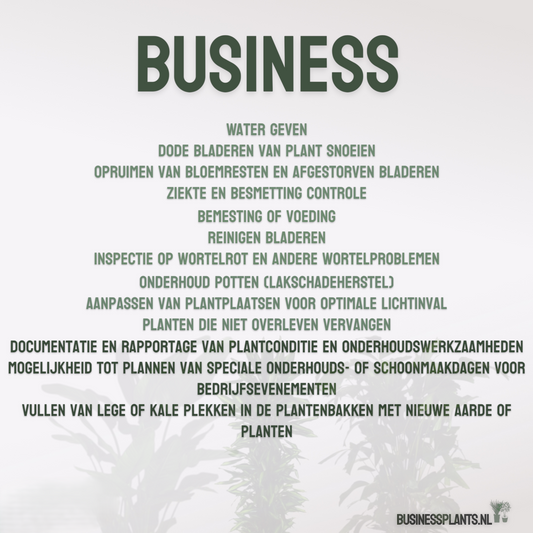 Business | Onderhoud