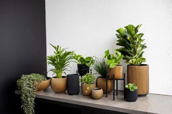 Capi cilinder Groove - 5 stuks