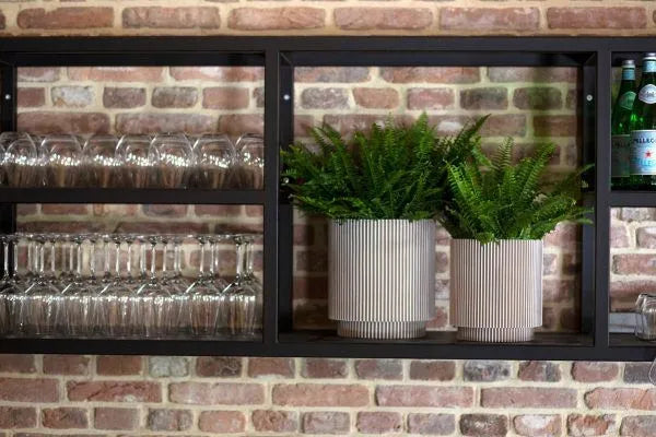 Capi cilinder Groove - 5 stuks