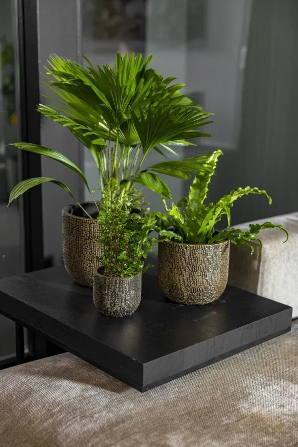 Capi bol Skin - 5 stuks