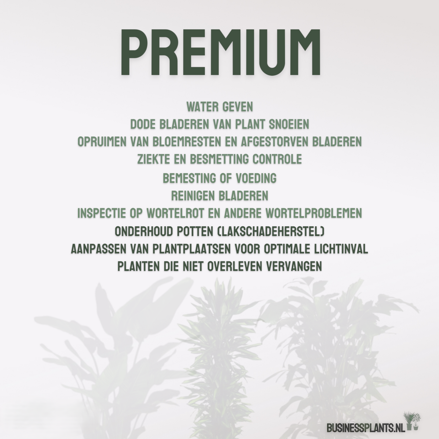 Premium | Onderhoud