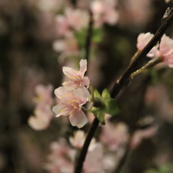 Moderne werkruimte met kunstplanten die zorgen voor een nette, duurzame en uitnodigende kantooromgeving. Blossom