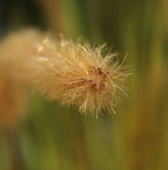 Moderne werkruimte met kunstplanten die zorgen voor een nette, duurzame en uitnodigende kantooromgeving.