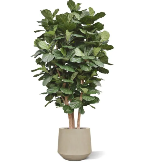 Moderne werkruimte met kunstplanten die zorgen voor een nette, duurzame en uitnodigende kantooromgeving.