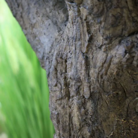 Moderne werkruimte met kunstplanten die zorgen voor een nette, duurzame en uitnodigende kantooromgeving.