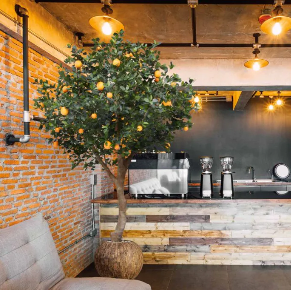 Moderne werkruimte met kunstplanten die zorgen voor een nette, duurzame en uitnodigende kantooromgeving.