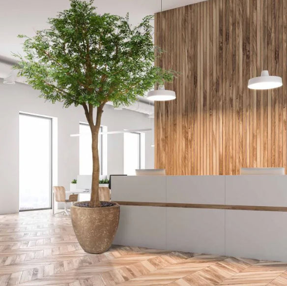 Murraya XXL | Kunstplant