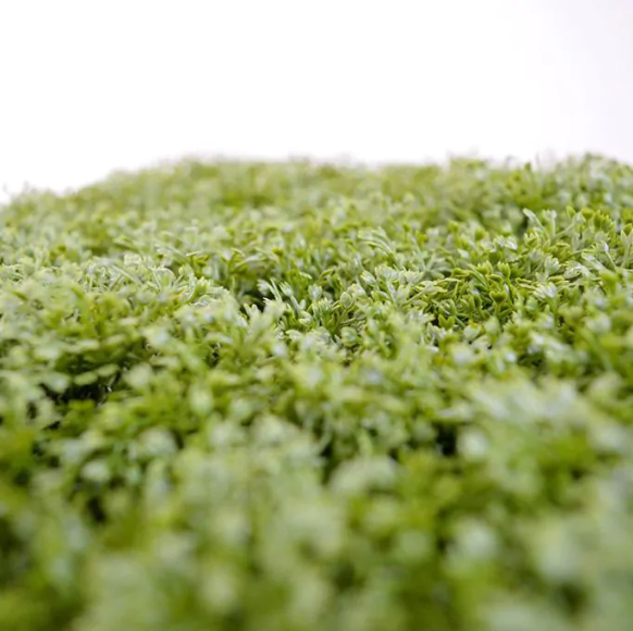 Kunstmos 25x25 UV bestendig