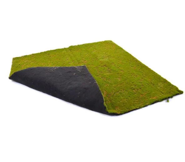 Moswand Mat Kunst 100x100