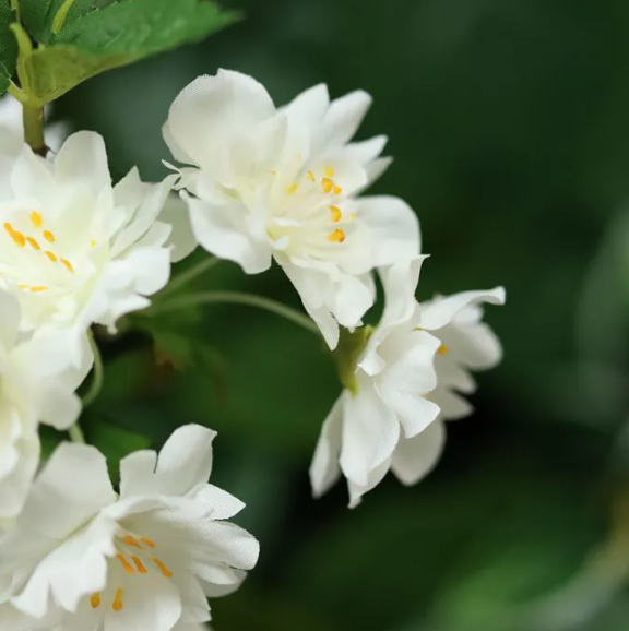 Pruimenbloesem 48cm | Kunst tak