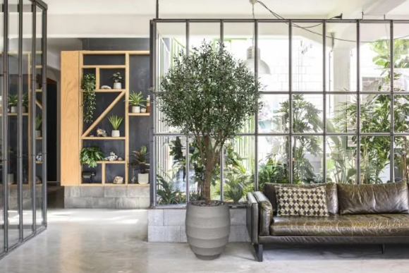 Moderne werkruimte met kunstplanten die zorgen voor een nette, duurzame en uitnodigende kantooromgeving.