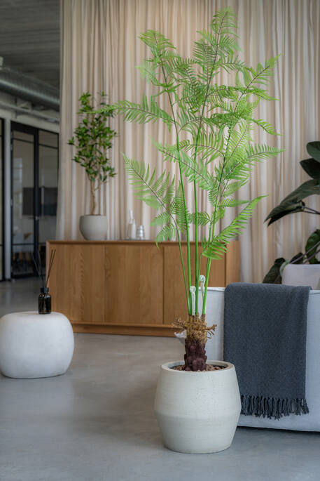 Fern | Kunstplant