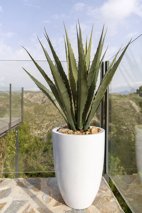 Agave | Kunstplant