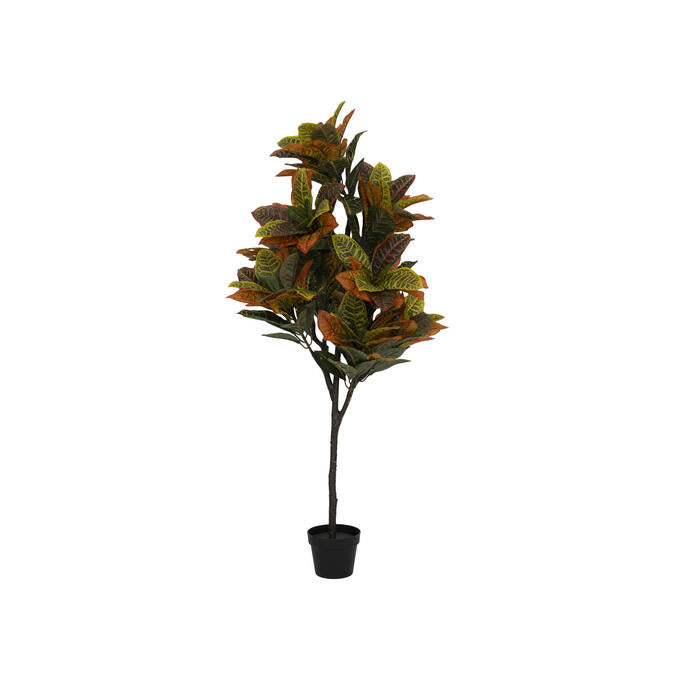 Codiaeum | Kunstplant
