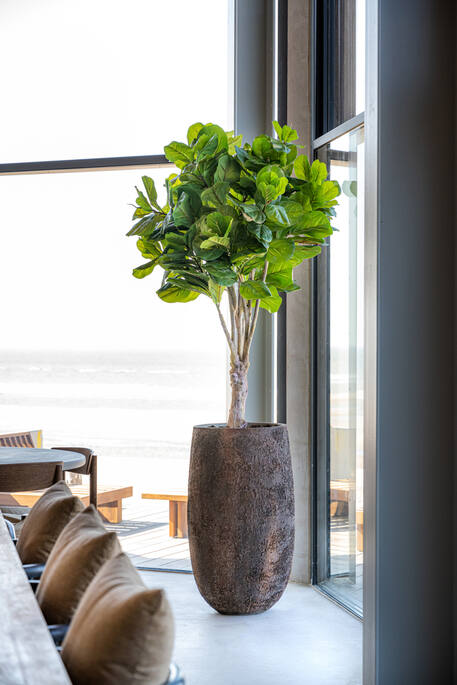 Ficus Lyrata | Kunstplant