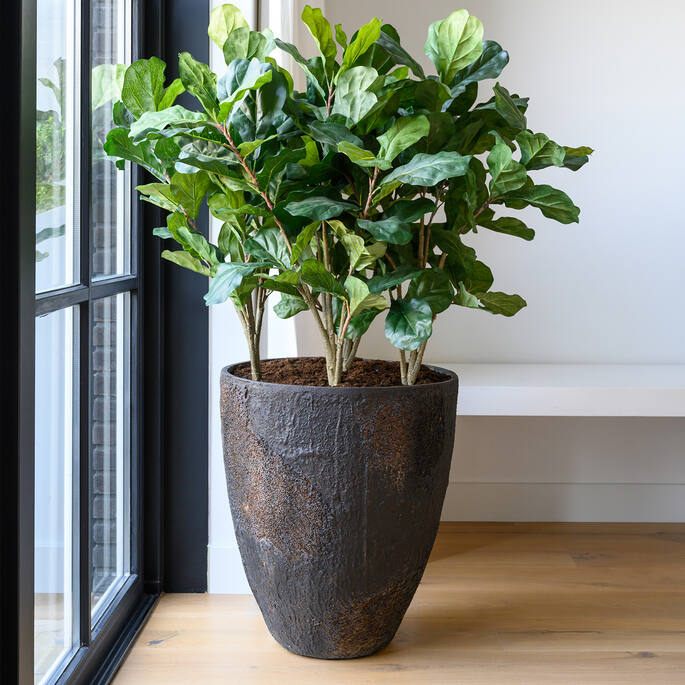 Ficus Lyrata | Kunstplant