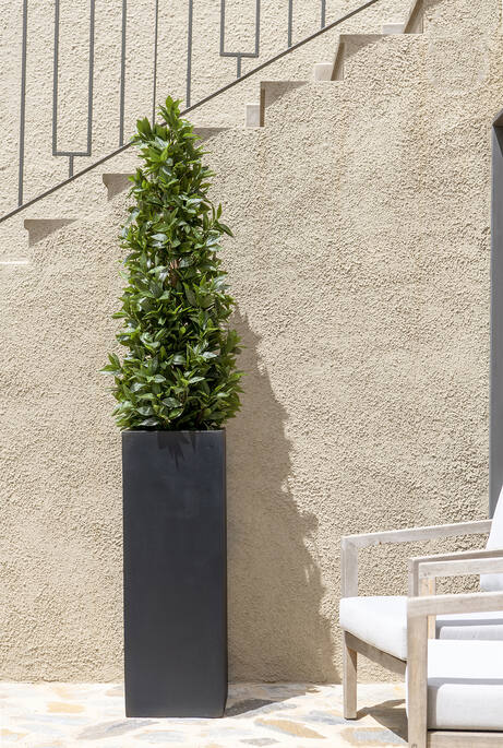 Laurus | Kunstplant
