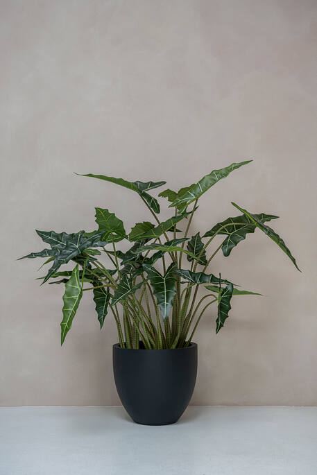 Alocasia Taro | Kunstplant