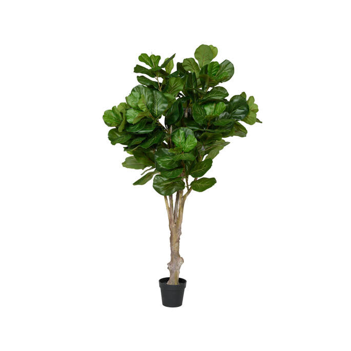 Ficus Lyrata | Kunstplant