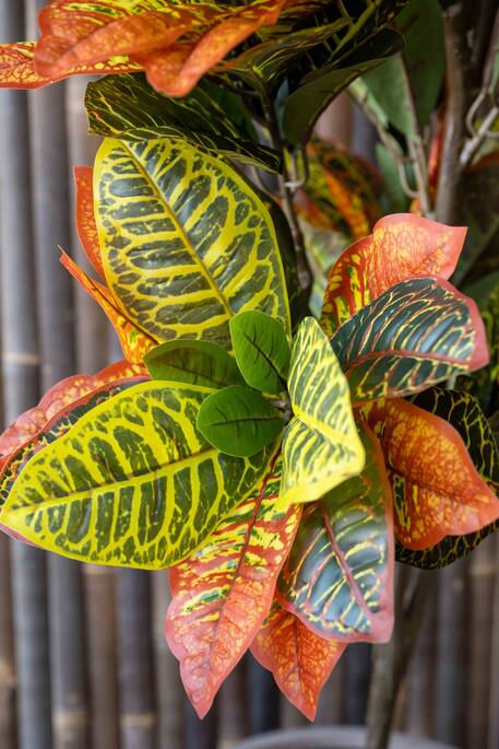 Codiaeum | Kunstplant