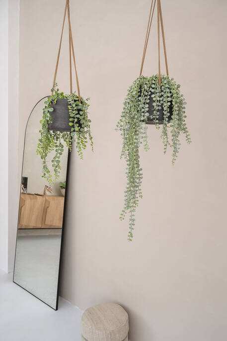 Senecio - Set van 4 | Kunstplant