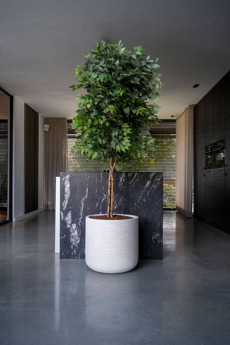 Ficus Tree | Kunstplant