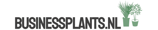 Business Plants | Planten speciaal voor bedrijven