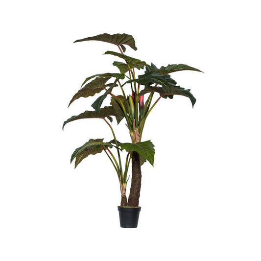 Alocasia | Kunstplant