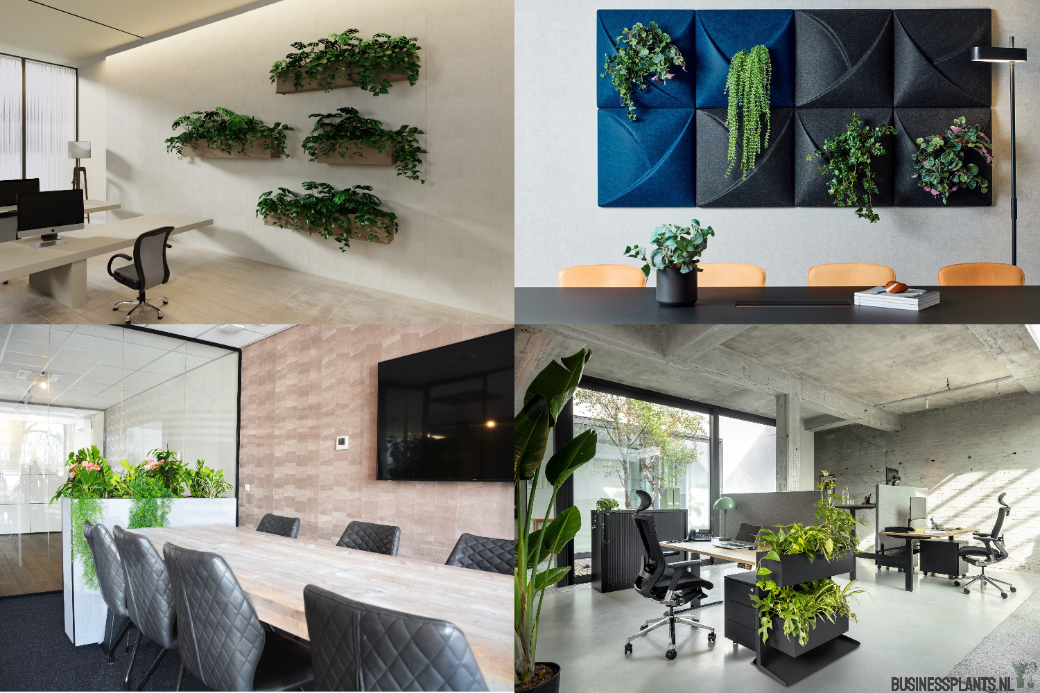 Grote groene kantoorplanten en roomdividers van planten in een open kantoortuin, gerealiseerd door Business Plants.