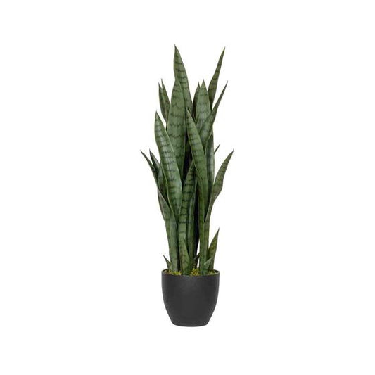 Sansevieria | Kunstplant
