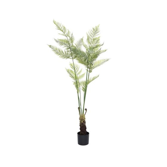 Fern | Kunstplant