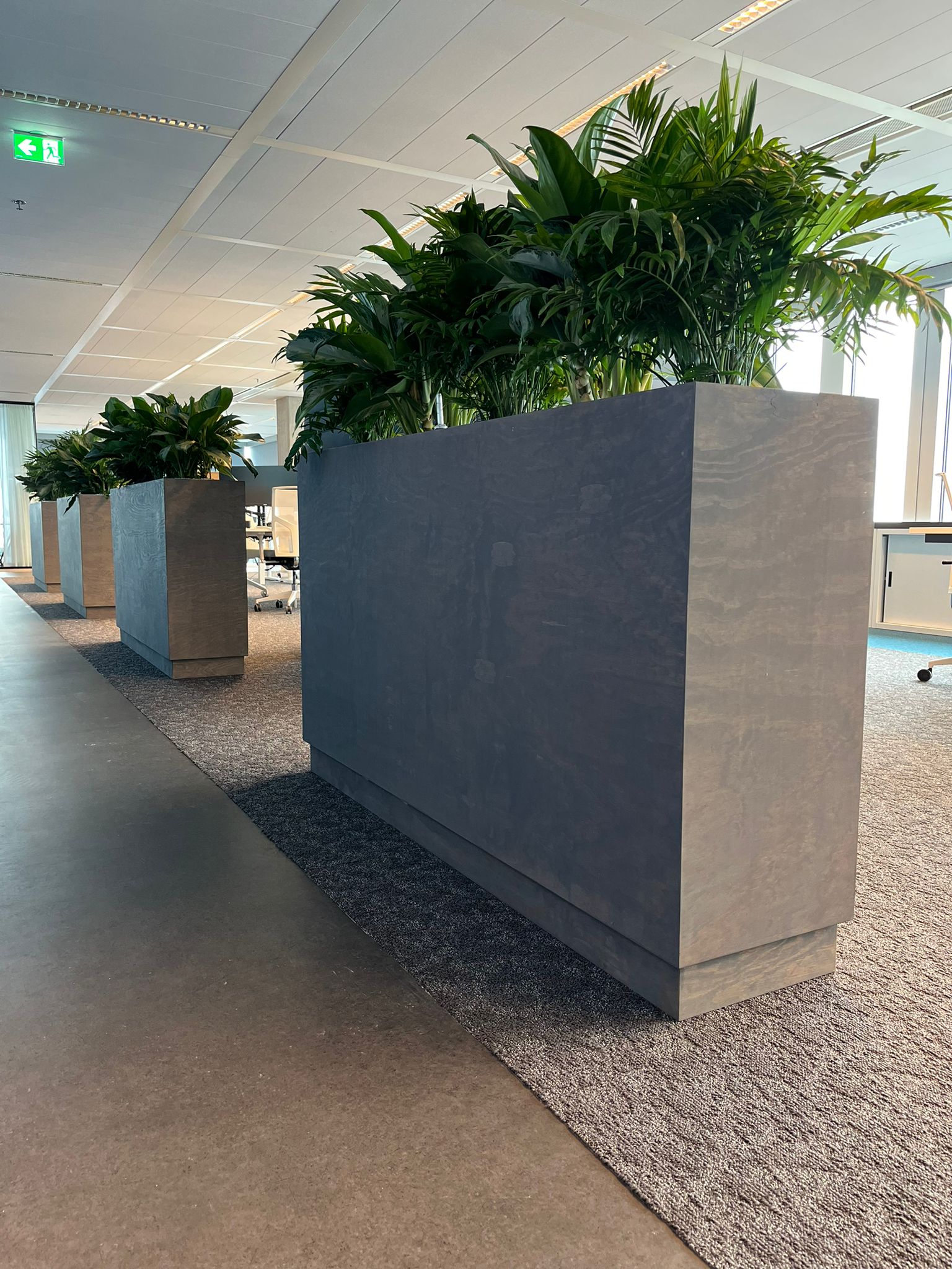 Mobiele groene roomdivider met hydrocultuur planten voor akoestische demping en natuurlijke afscheiding in een open kantoorruimte.