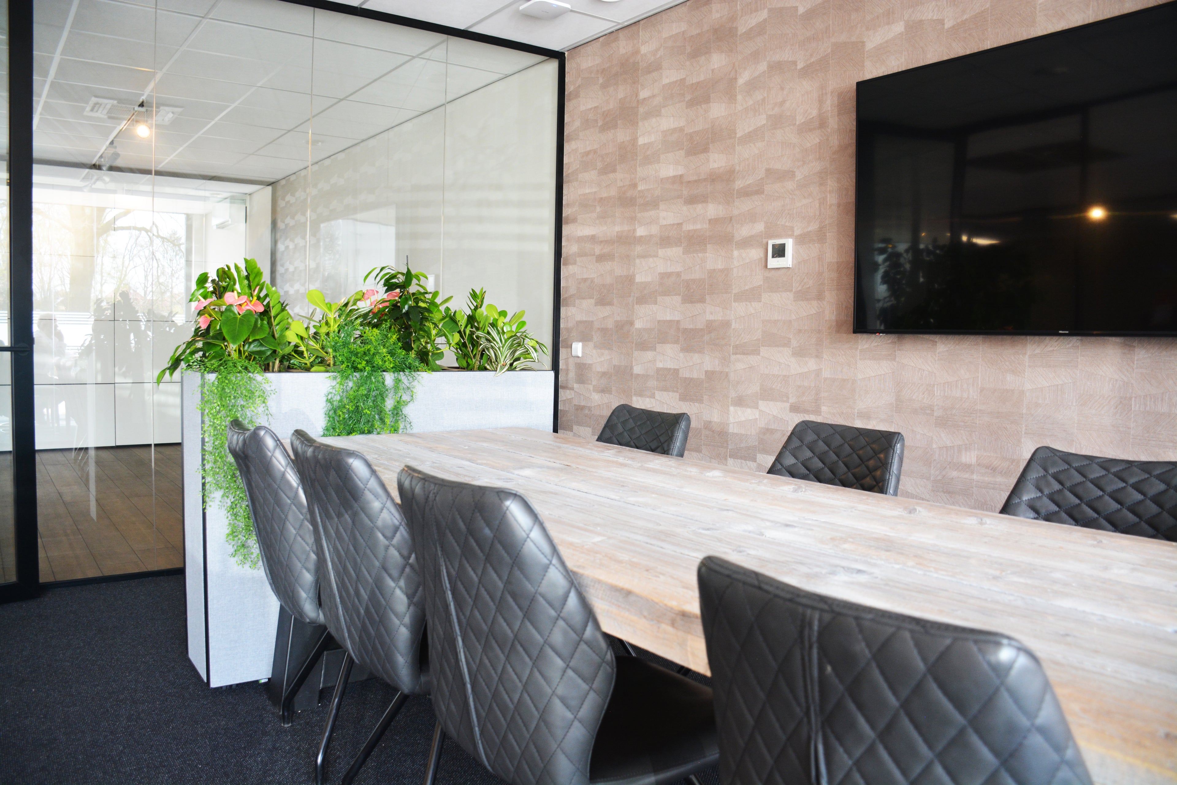 Grote bladplanten in een modern kantoor die dienen als natuurlijke akoestische oplossing voor het absorberen van omgevingsgeluid en galm