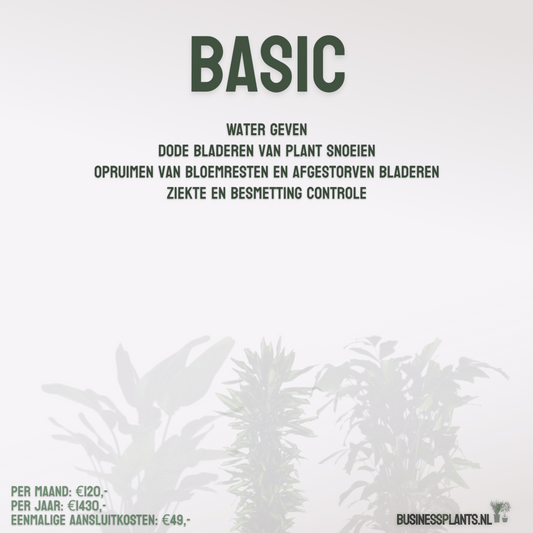 Basic