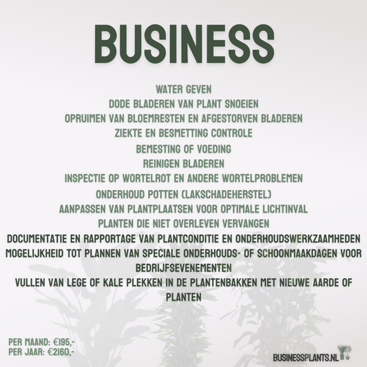 Business