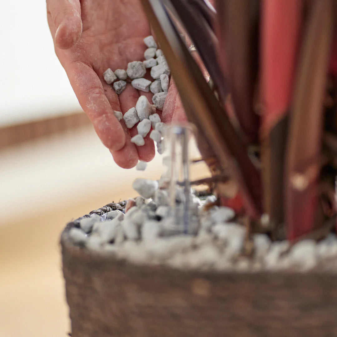 Hydro-cultuur-planten-zoetermeer