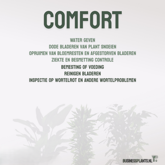 Comfort | Onderhoud