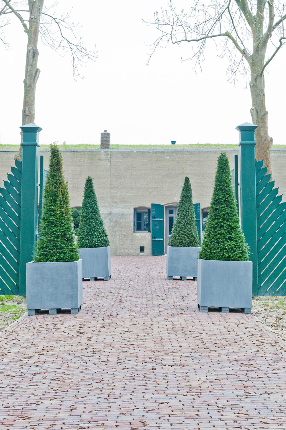 aanvang bedrijf met planten