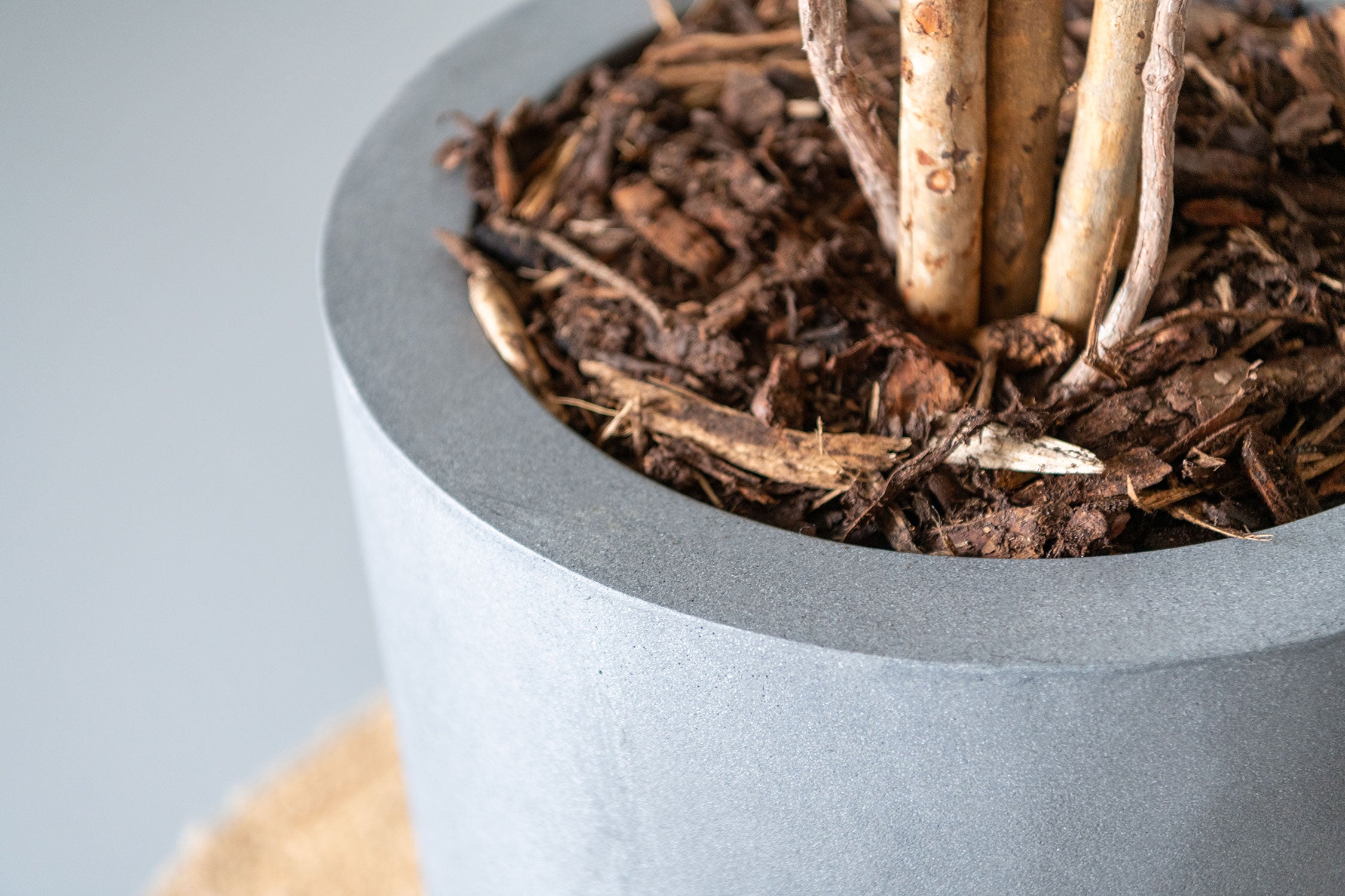 Onderhoud interieur beplanting zuid holland 