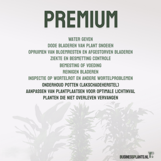 Premium | Onderhoud