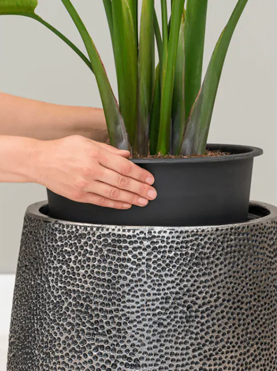 Darcy Hit | met inzetbak