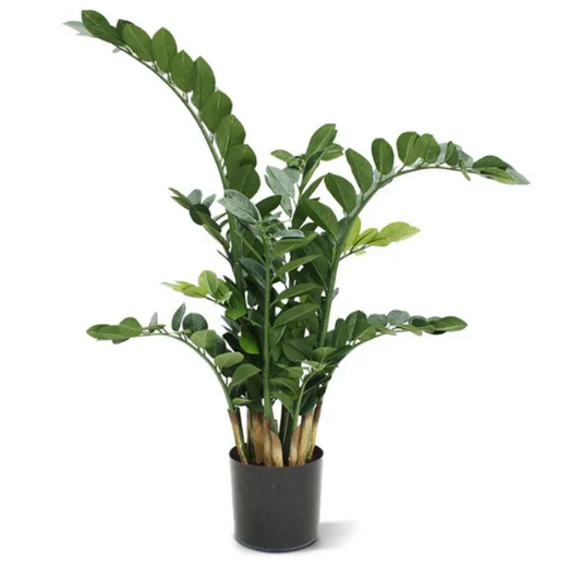 Moderne werkruimte met kunstplanten die zorgen voor een nette, duurzame en uitnodigende kantooromgeving.