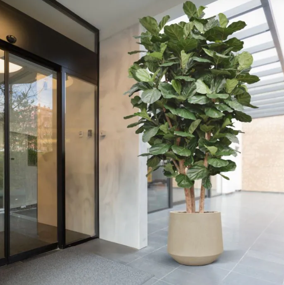 Moderne werkruimte met kunstplanten die zorgen voor een nette, duurzame en uitnodigende kantooromgeving.