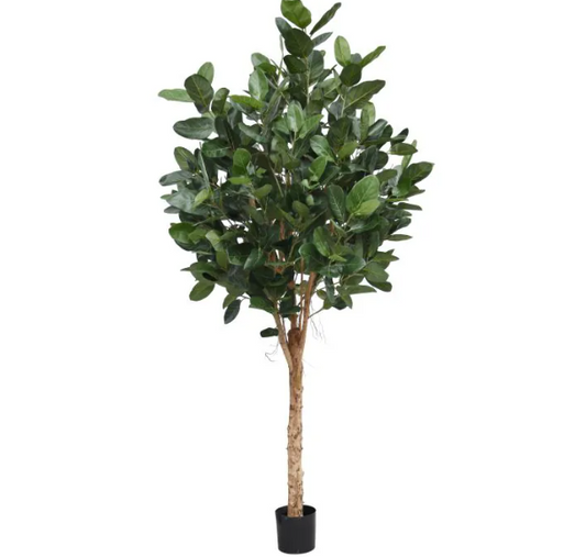 Moderne werkruimte met kunstplanten die zorgen voor een nette, duurzame en uitnodigende kantooromgeving.